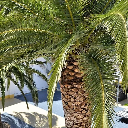 בית נופש Pinya